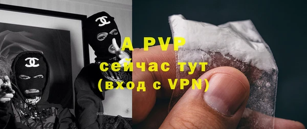 стаф Алексин