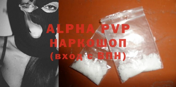 стаф Алексин