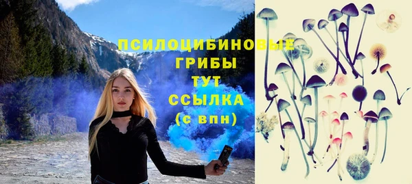 стаф Алексин