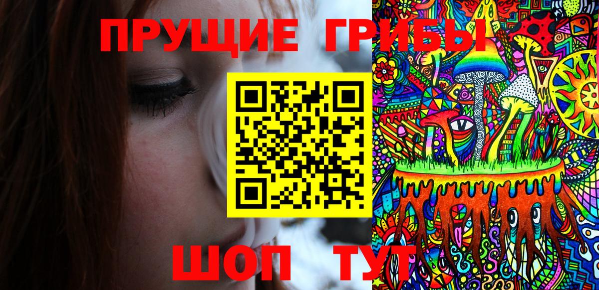 Псилоцибиновые грибы Psilocybe  Вход с VPN  Феодосия 